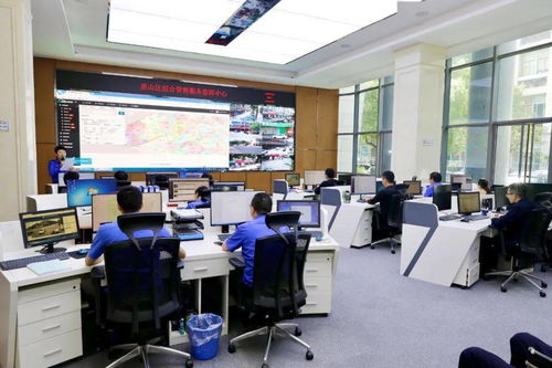 區政協視察全區智慧城管服務系統建設情況 科學化、智能化、智慧化推動城市治理新格局